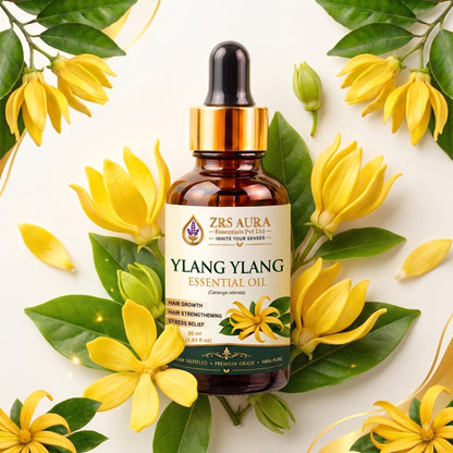 ZRS AURA Ylang Ylang Essential Oil for Hair Nourishment, Scalp Care, Skin Hydration, Relaxation & Stress Relief | 100% Pure & Natural Undiluted Ylang Ylang Oil, 15ml